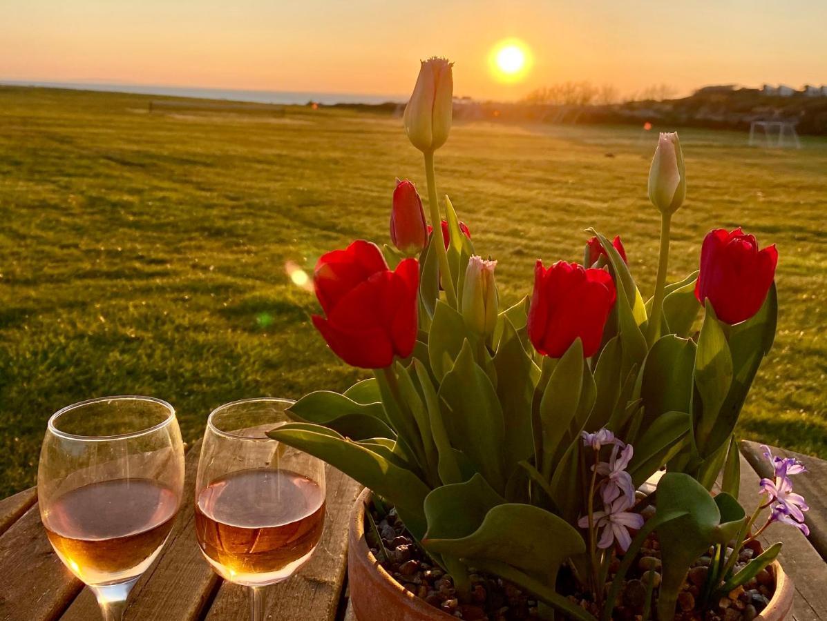 Seaview Self-Catering Coastal Bungalow In Rural West Wight Freshwater Exteriör bild